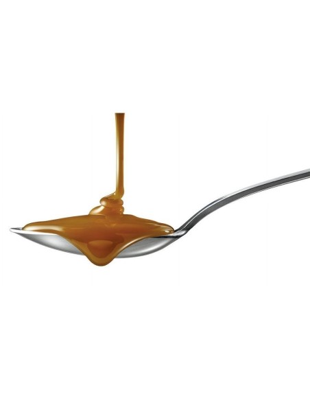 Hershey's Caramel Topping Syrup