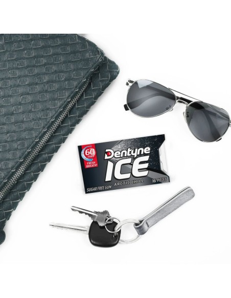 Hielo Dentyne Arctic Chill