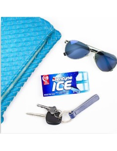 Menta helada Dentyne 2