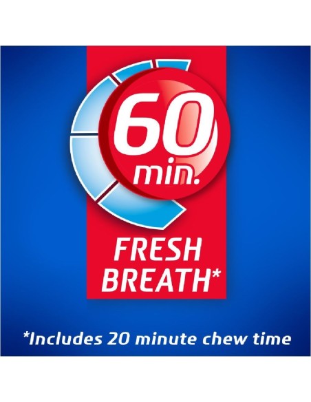 Dentyne Ice Peppermint