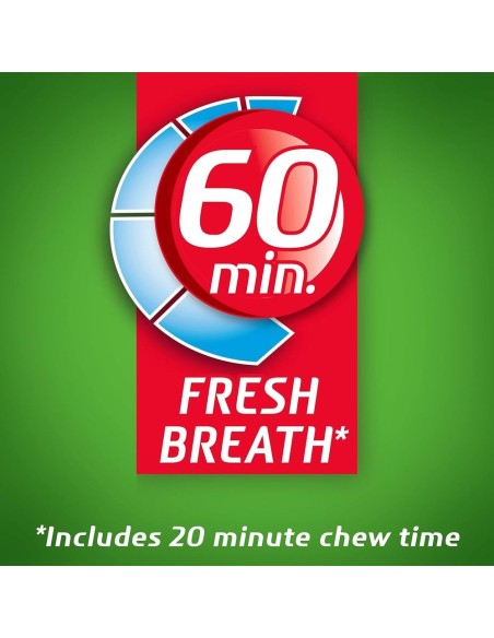 Dentyne Ice Spearmint