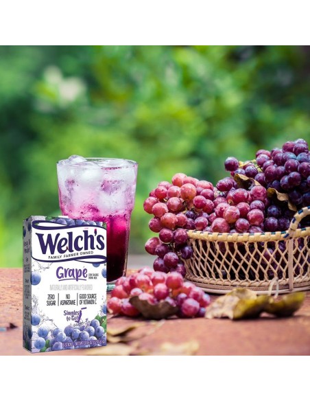 Welch's Singles To Go! Grape