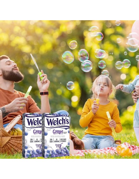 Birre monoporzione Welch's da asporto! Uva