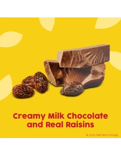 Raisinets Milk Chocolate 2