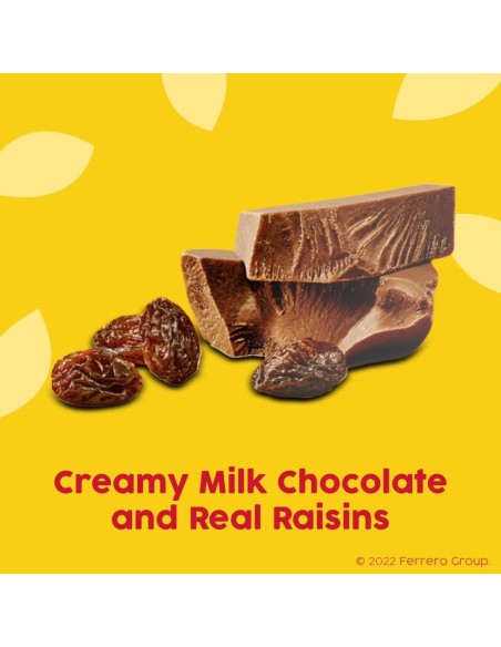 Raisinets Milk Chocolate