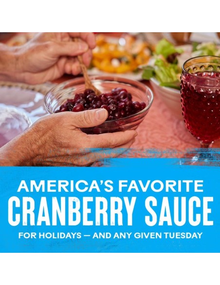 Ocean Spray Whole Berry Cranberry Sauce USA