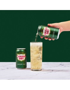 Canada Dry Ginger Ale 2