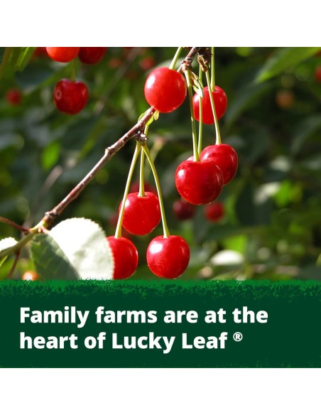 Lucky Leaf Fruit Filling Cherry