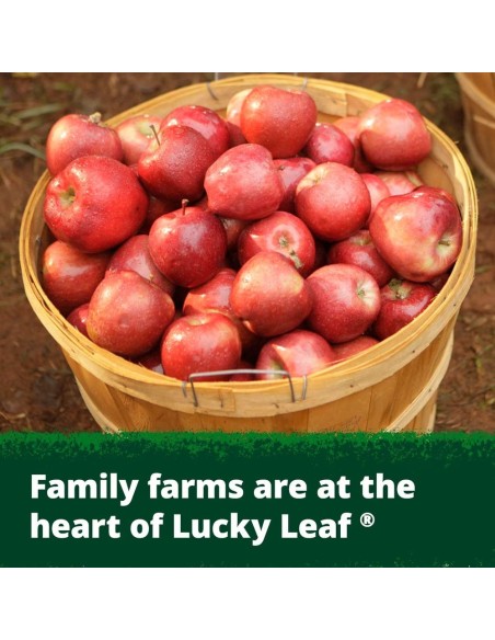 Lucky Leaf Premium Apple Fruit Filling or Topping