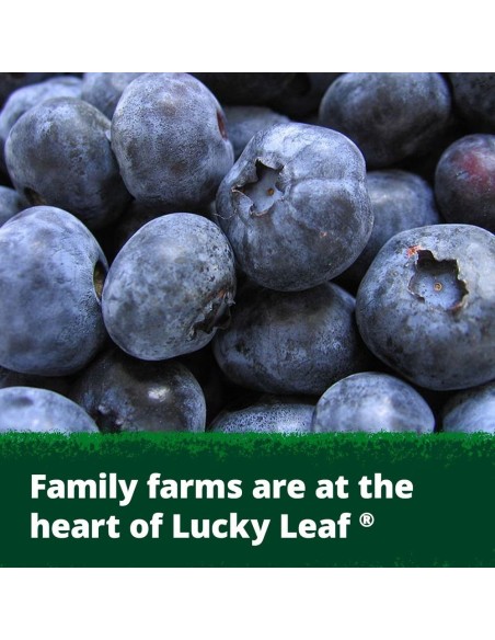 Lucky Leaf Premium Blueberry Fruit Filling or Topping