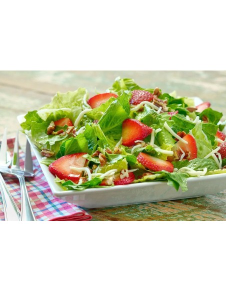 Briannas Home Style Blush Wine Vinaigrette Dressing