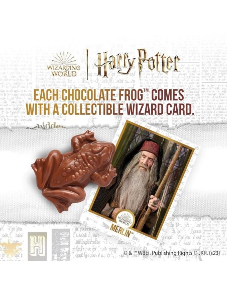 Rana de chocolate de Harry Potter