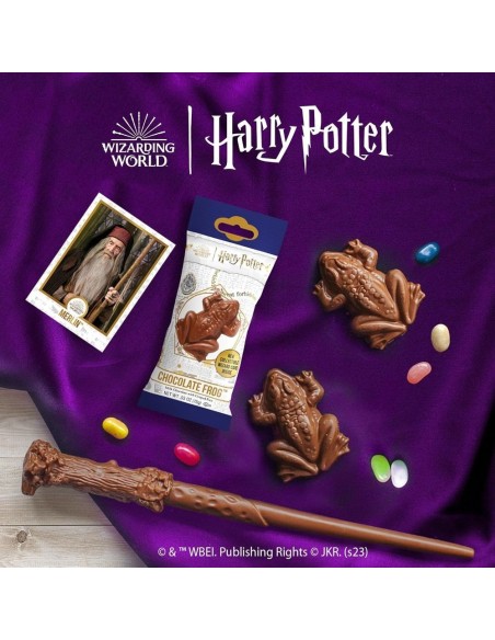 Rana de chocolate de Harry Potter