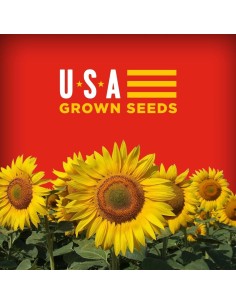 Bigs Cheeseburger Semi di girasole 2