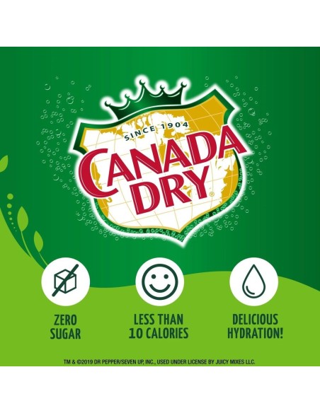 Cerveza de arándanos Canada Dry On To Go