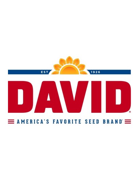 DAVID SEEDS