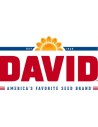 DAVID SEEDS